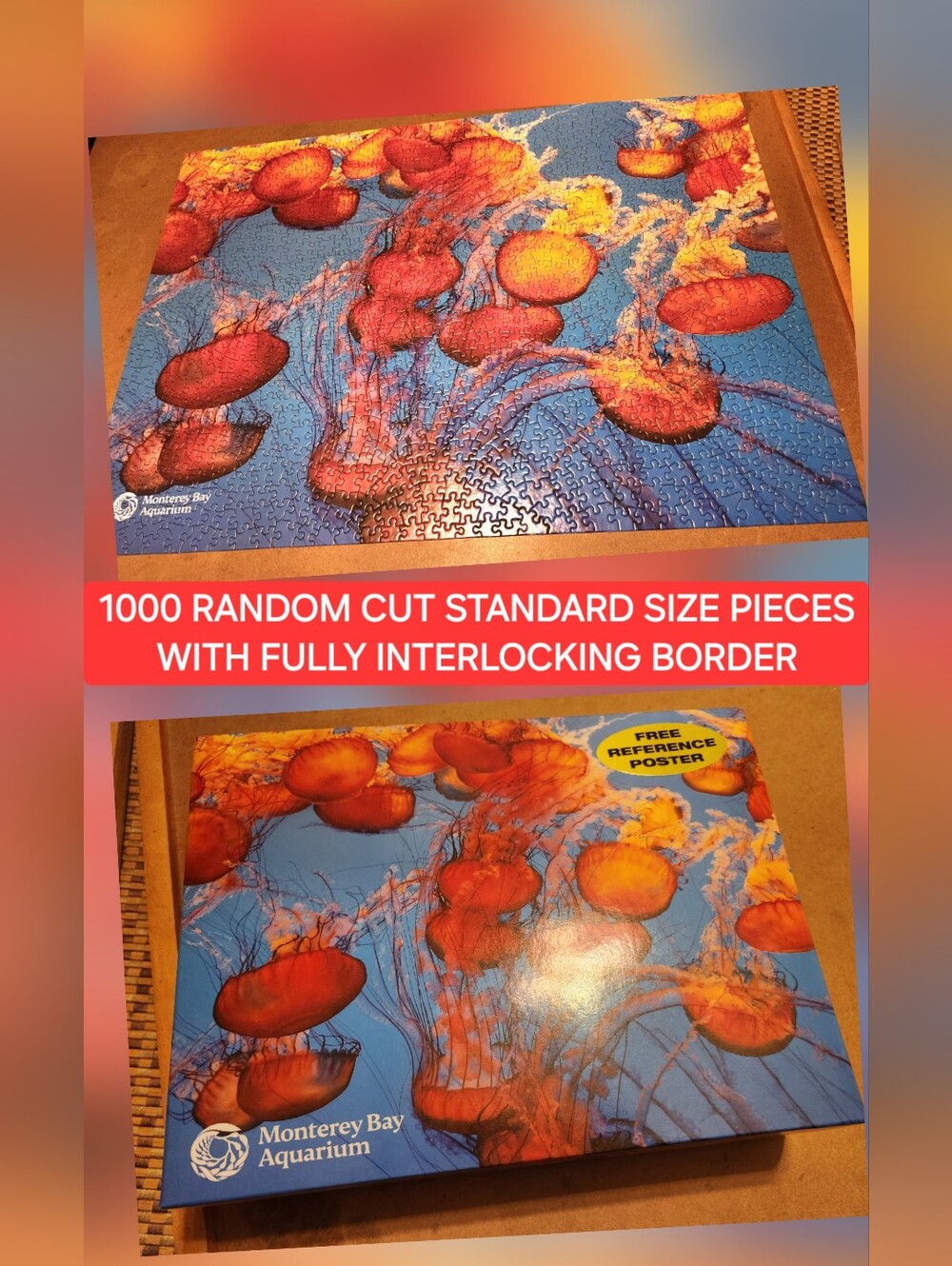 Monterey Bay Aquarium Jellyfish 1000-random Challenging Piece Puzzle